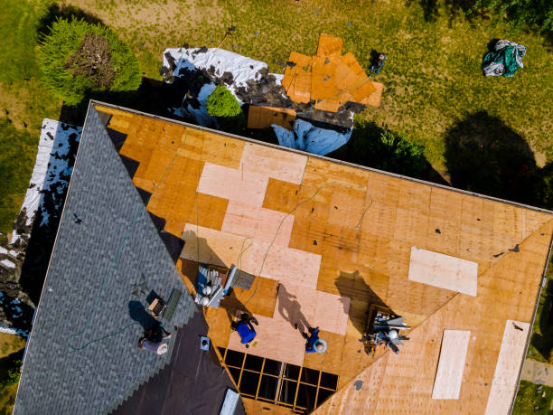 Best Local Roofing Companies  in Ness City, KS