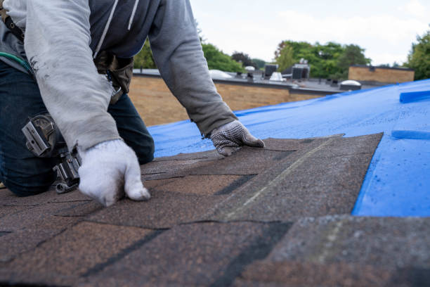 Best Emergency Roof Repair  in Ness City, KS