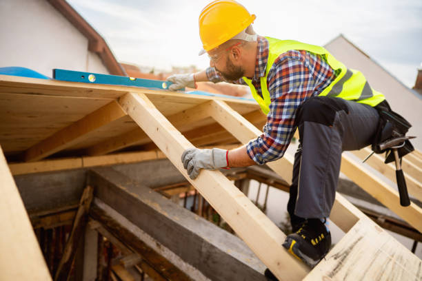 Best Roof Leak Repair  in Ness City, KS