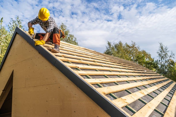 Best Sealant for Roof  in Ness City, KS