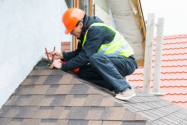 Best Metal Roofing Contractor  in Ness City, KS