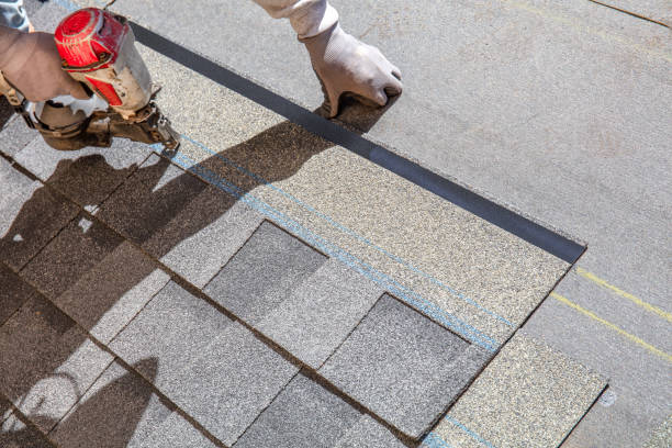 Best Residential Roof Replacement  in Ness City, KS